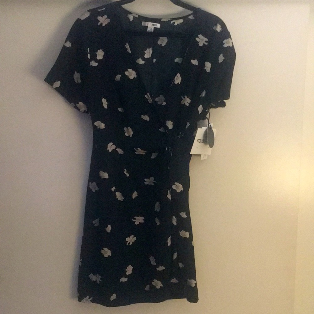 Amuse society elena dress